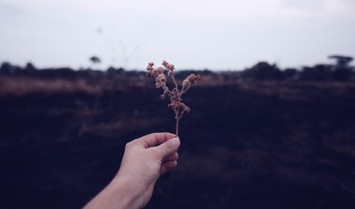 科学认证：你意想不到的生活习惯，能逆转老化-成都棕南医院_成都精神病医院